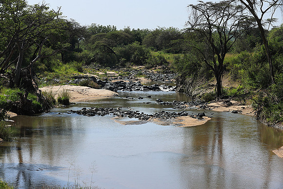 Serengeti