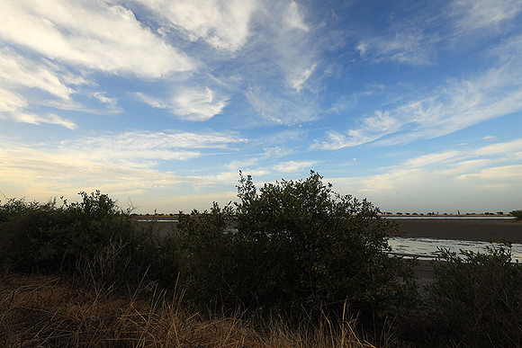 Lanscape near the lagoon