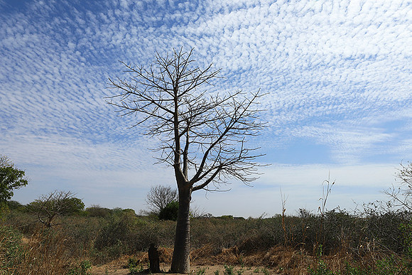 Lanscape near the lagoon
