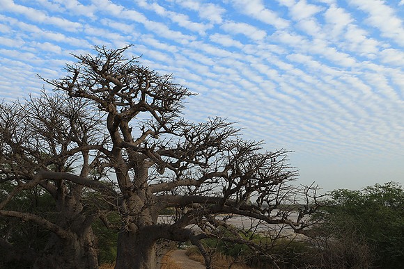 Lanscape near the lagoon