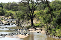 Serengeti