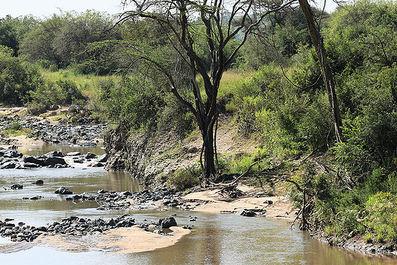 Serengeti