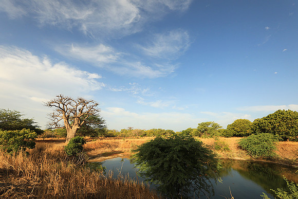 Lanscape near the lagoon