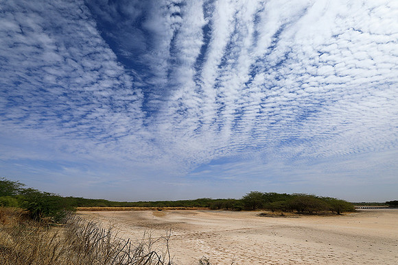 Lanscape near the lagoon