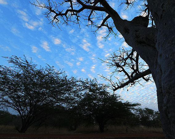 Lanscape near the lagoon