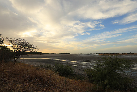 Lanscape near the lagoon