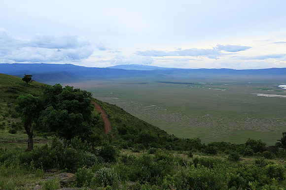 In the crater of Ngorongoro