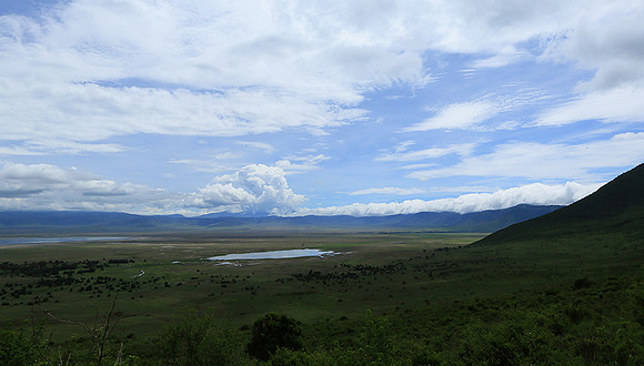 In the crater of Ngorongoro