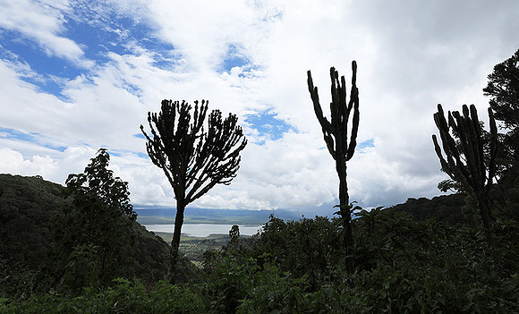 Ngorongoro crater