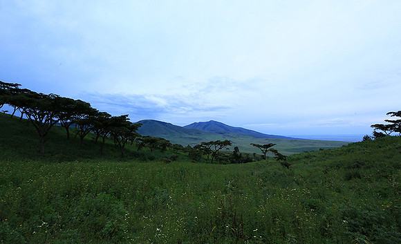In the crater of Ngorongoro