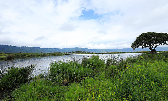 Ngorongoro crater