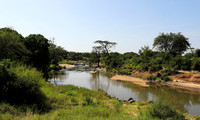 Serengeti
