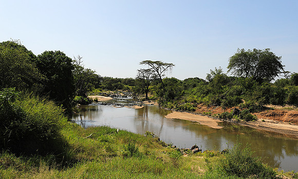 Serengeti