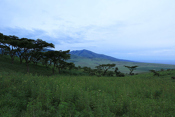 In the crater of Ngorongoro