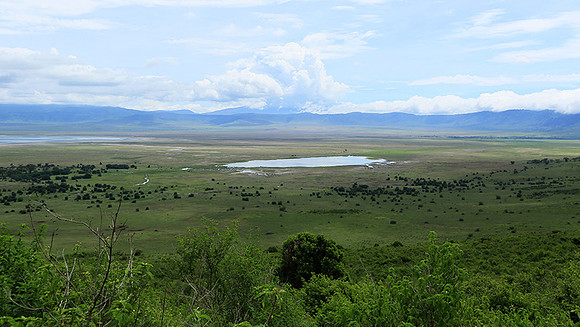 In the crater of Ngorongoro