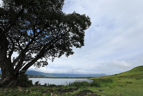 Ngorongoro crater