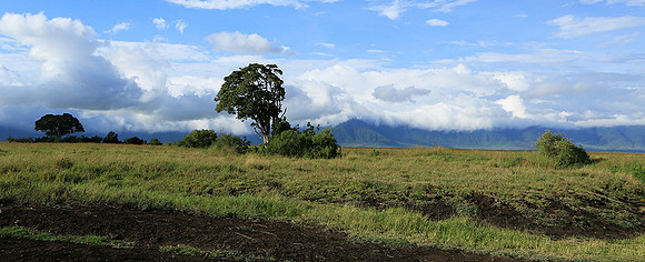 In the crater of Ngorongoro