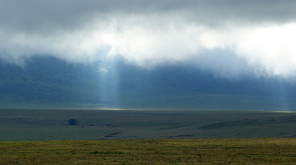 In the crater of Ngorongoro