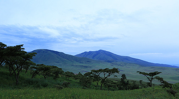 In the crater of Ngorongoro