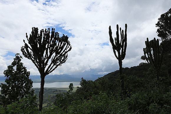 Ngorongoro crater