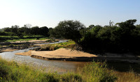 Serengeti