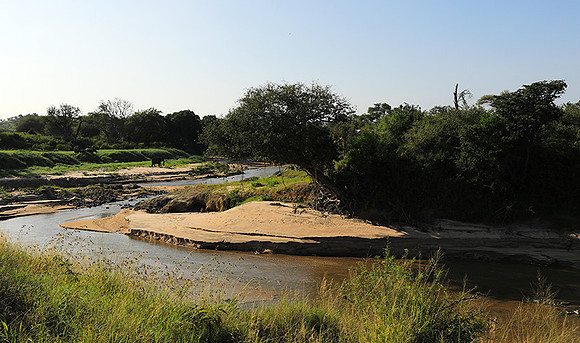Serengeti