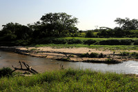 Serengeti