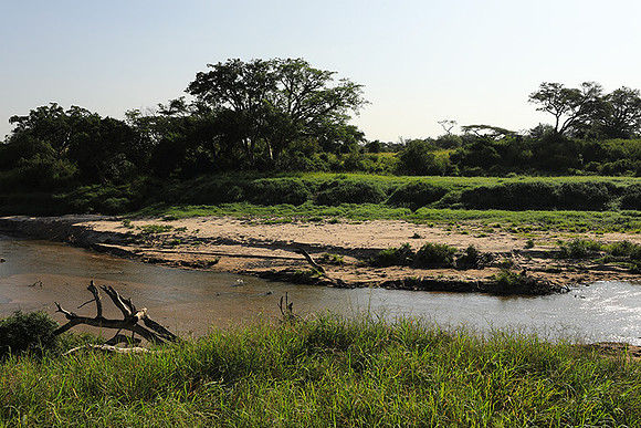 Serengeti