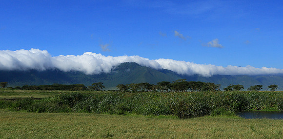 In the crater of Ngorongoro