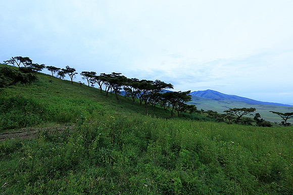 In the crater of Ngorongoro