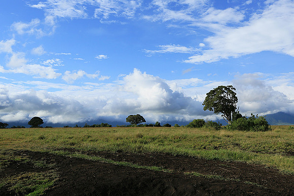 In the crater of Ngorongoro