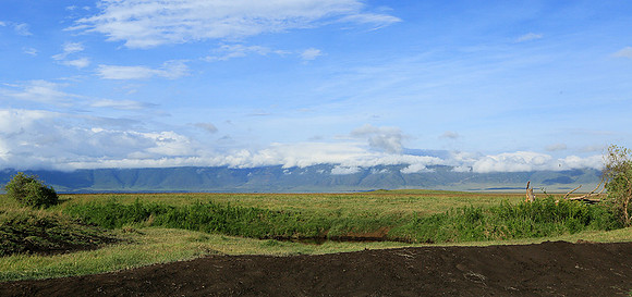 In the crater of Ngorongoro