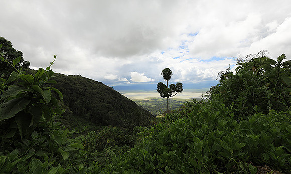 Ngorongoro crater
