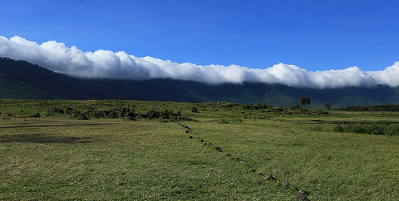 In the crater of Ngorongoro