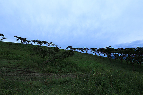 In the crater of Ngorongoro