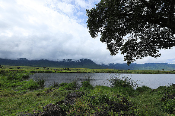Ngorongoro crater