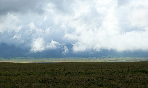 In the crater of Ngorongoro
