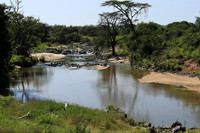 Serengeti
