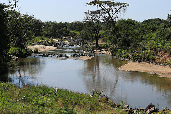 Serengeti