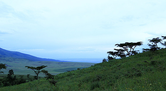 In the crater of Ngorongoro