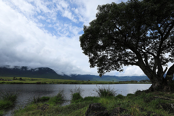 Ngorongoro crater