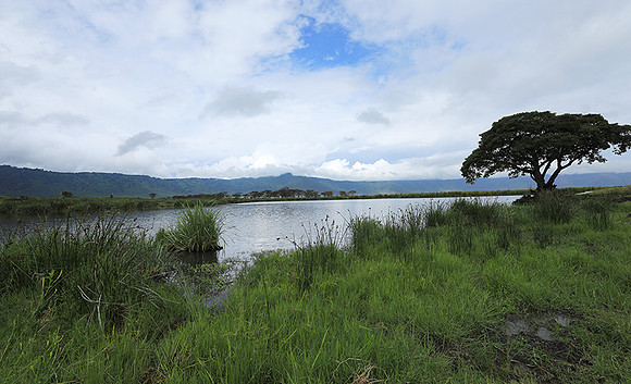 Ngorongoro crater