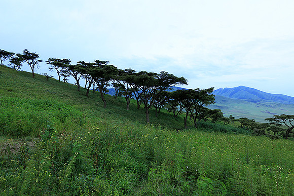 In the crater of Ngorongoro