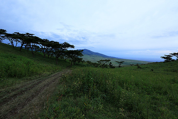 In the crater of Ngorongoro