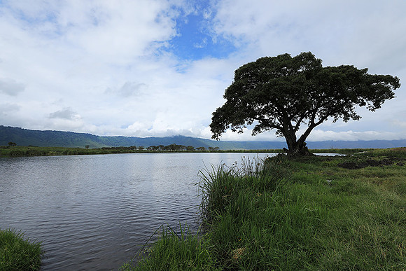 Ngorongoro crater
