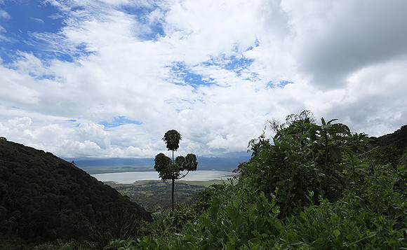 Ngorongoro crater