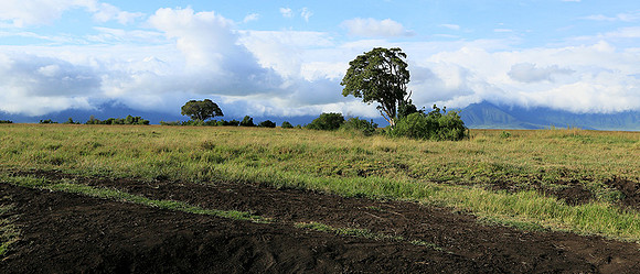 In the crater of Ngorongoro