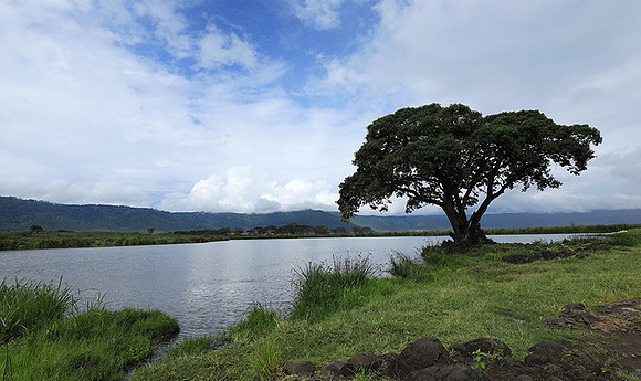 Ngorongoro crater