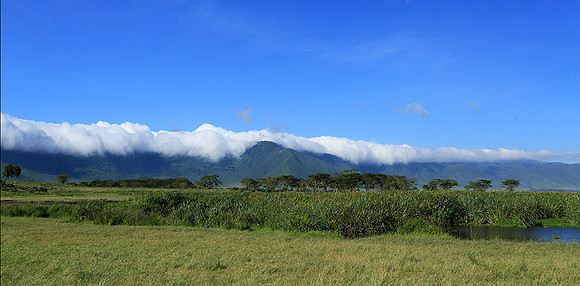 In the crater of Ngorongoro