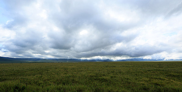 In the crater of Ngorongoro